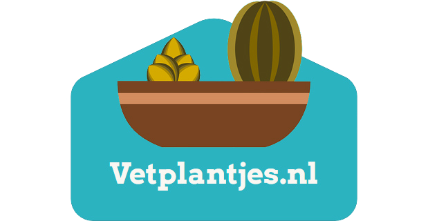 Vetplantjes.nl