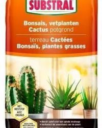 Substral potgrond voor cactus, bonsai en vetplanten - 6 liter