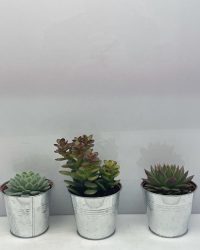 Vetplanten- mix 3 succulenten- zinken pot- 8.5cmØ- ±12cm hoog- Crassula Minor- Echeveria Elegans- Echeveria Agavoides