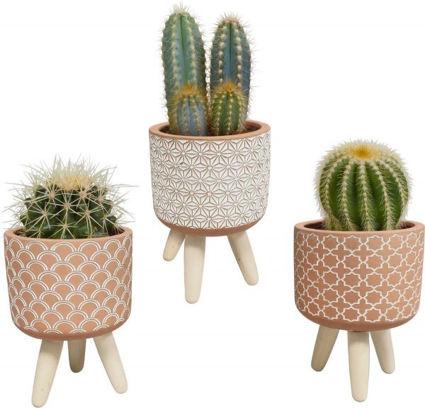 Cactus mix in terracotta betonpot op 3 pootjes | 3 stuks | Ø 8,5 cm | ↕ 16 - 21 cm