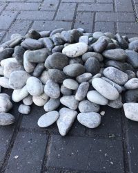 Pebblestones grind voor groen dak / sedum dak (25 kg) - 10 Zakken