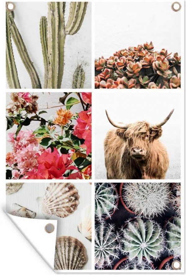 Muurdecoratie Schotse Hooglander - Collage - Bloemen - Cactus - 120x180 cm - Tuinposter