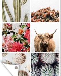Tuinposter Schotse Hooglander - Collage - Bloemen - Cactus - 80x120 cm - Tuin