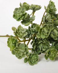 Cozinezz - kunstplant Echeveria - groen - 20 cm hoog