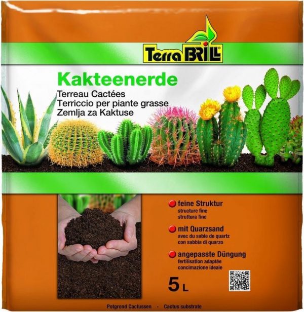 5 Liter potgrond voor Cactussen | TerraBrill | Professionele potgrond om uw cactussen en vetplanten te verpotten