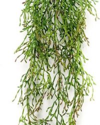 Kunst hangplant Rhipsalis 90 cm
