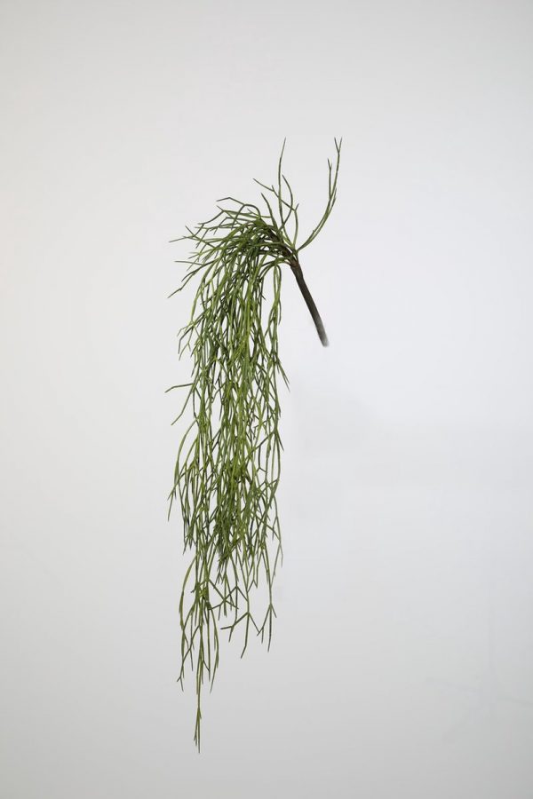 Hangplant - Rhipsalis - topkwaliteit decoratie - 2 stuks - zijden tak - Groen - 80 cm hoog