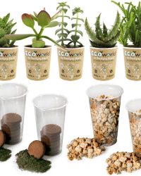 Ecoworld Succulenten Mix DIY Ecosysteem Set - 5 Vetplanten Mix - Verschillende vetplantjes - Inclusief Substraat en Grond