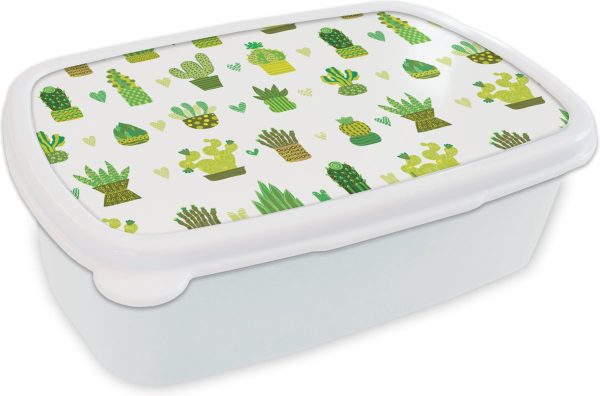 Broodtrommel Wit - Lunchbox - Brooddoos - Vetplanten - Patronen - Cactus - 18x12x6 cm - Volwassenen