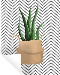 Muurstickers - Kamerplant - Aloë Vera - Zwart - Wit - 20x30 cm - Plakfolie