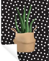 Muurstickers - Planten - Kamerplant - Aloë Vera - 20x30 cm - Plakfolie