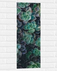 WallClassics - Muursticker - Echeveria Groene Plant - 30x90 cm Foto op Muursticker