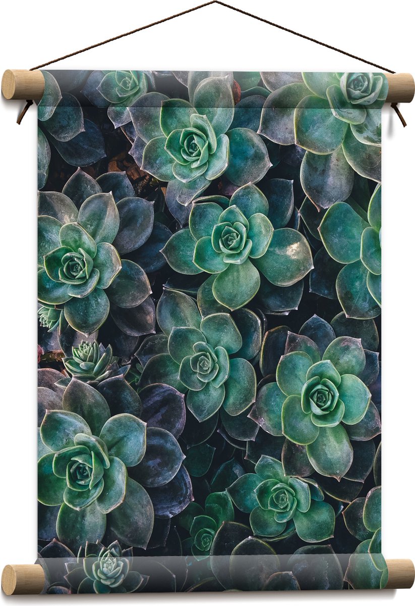 WallClassics - Textielposter - Echeveria Groene Plant - 30x40 cm Foto op Textiel