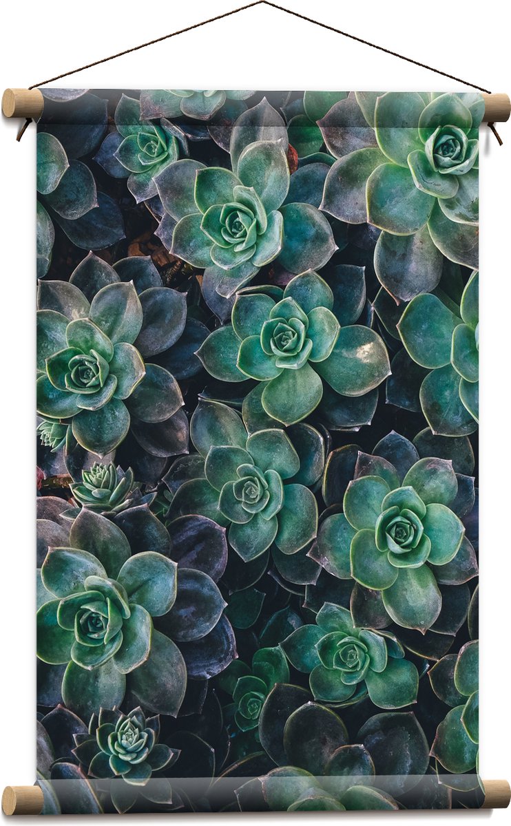 WallClassics - Textielposter - Echeveria Groene Plant - 40x60 cm Foto op Textiel
