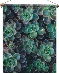 WallClassics - Textielposter - Echeveria Groene Plant - 60x80 cm Foto op Textiel