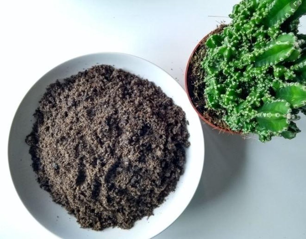 STRUCTURAL Potgrond 5 Liter - Ideaal Voor Vetplanten En Cactus