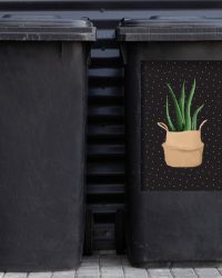 Container sticker Plant - Aloë Vera - Plantenbak - 40x60 cm - Kliko sticker