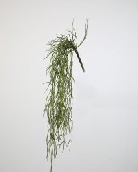 Hangplant - Rhipsalis - topkwaliteit decoratie - 2 stuks - zijden tak - Groen - 80 cm hoog