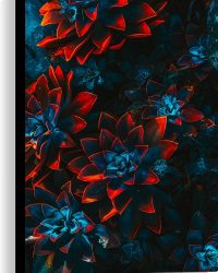 Canvas - Blauwe Echeveria Struik met Rode Details op Planten - 40x60 cm Foto op Canvas Schilderij (Wanddecoratie op Canvas)