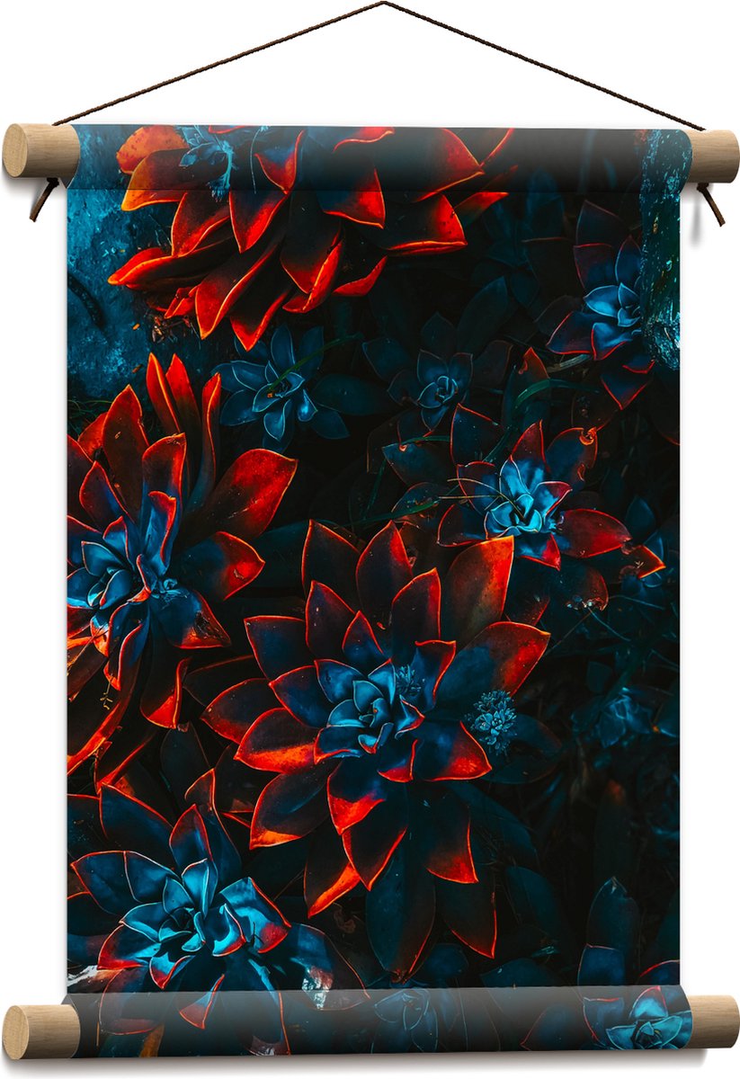Textielposter - Blauwe Echeveria Struik met Rode Details op Planten - 30x40 cm Foto op Textiel