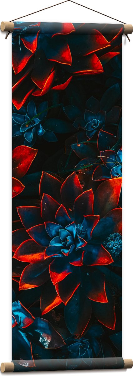 Textielposter - Blauwe Echeveria Struik met Rode Details op Planten - 30x90 cm Foto op Textiel