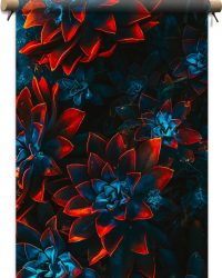 Textielposter - Blauwe Echeveria Struik met Rode Details op Planten - 40x60 cm Foto op Textiel