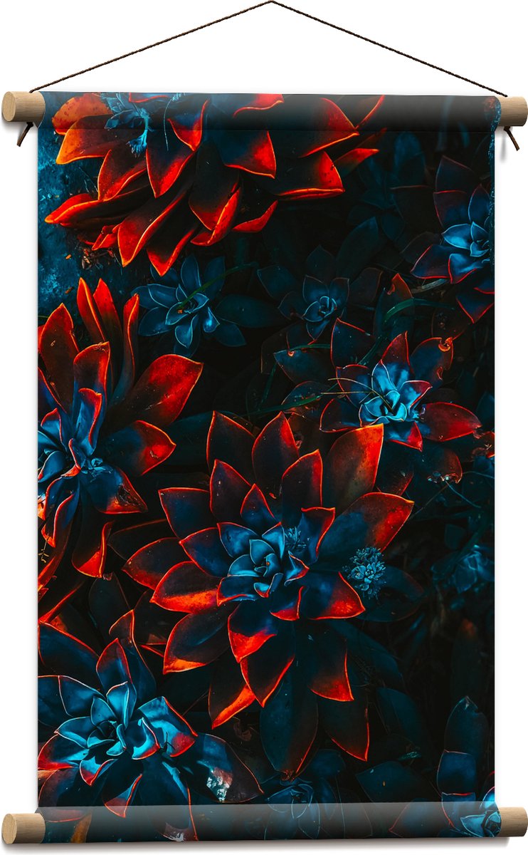 Textielposter - Blauwe Echeveria Struik met Rode Details op Planten - 40x60 cm Foto op Textiel