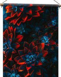 Textielposter - Blauwe Echeveria Struik met Rode Details op Planten - 60x90 cm Foto op Textiel