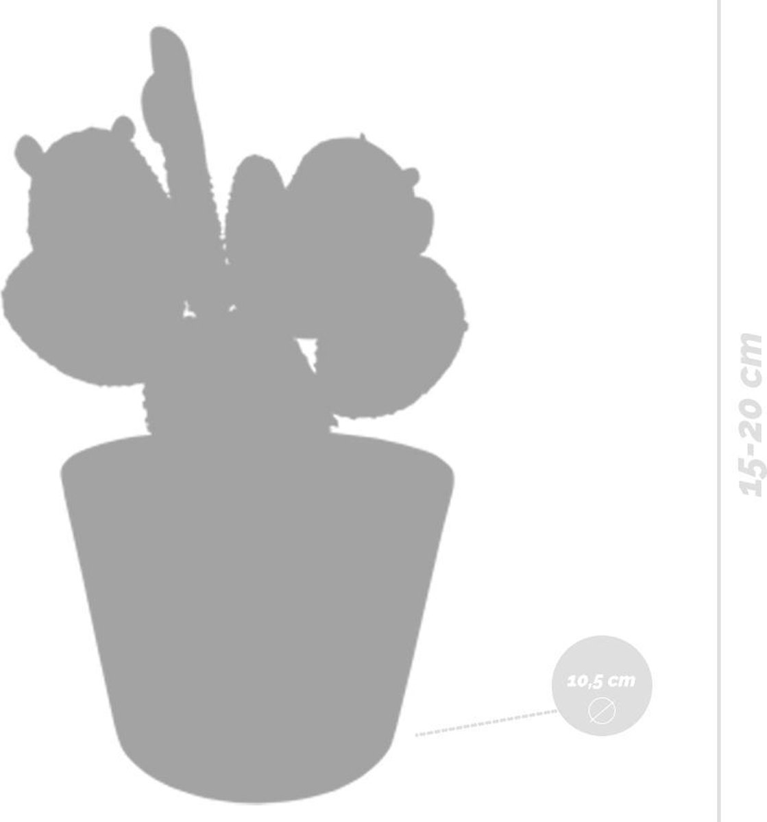 3x Cactus Mix - Vetplant - Kamerplant - Witte potten - ⌀10.5 cm - ↕15-20 cm