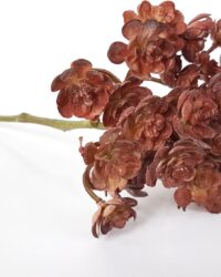 Cozinezz - kunstplant Echeveria - bruin - 20 cm hoog
