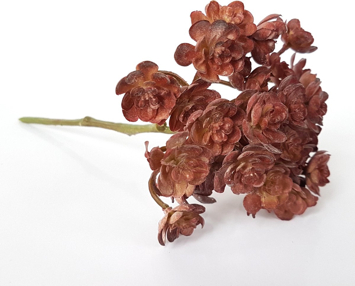 Cozinezz - kunstplant Echeveria - bruin - 20 cm hoog