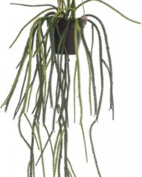 Fleurdirect Hangplant Rhipsalis - Polyester - Groen - 0 x 85 x 0 cm (BxHxD)